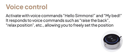 Simmons Voice Control